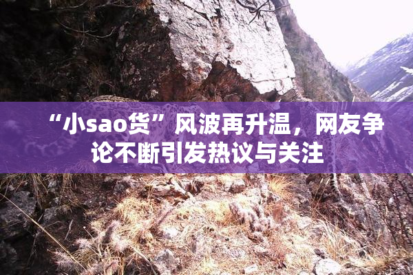 “小sao货”风波再升温，网友争论不断引发热议与关注